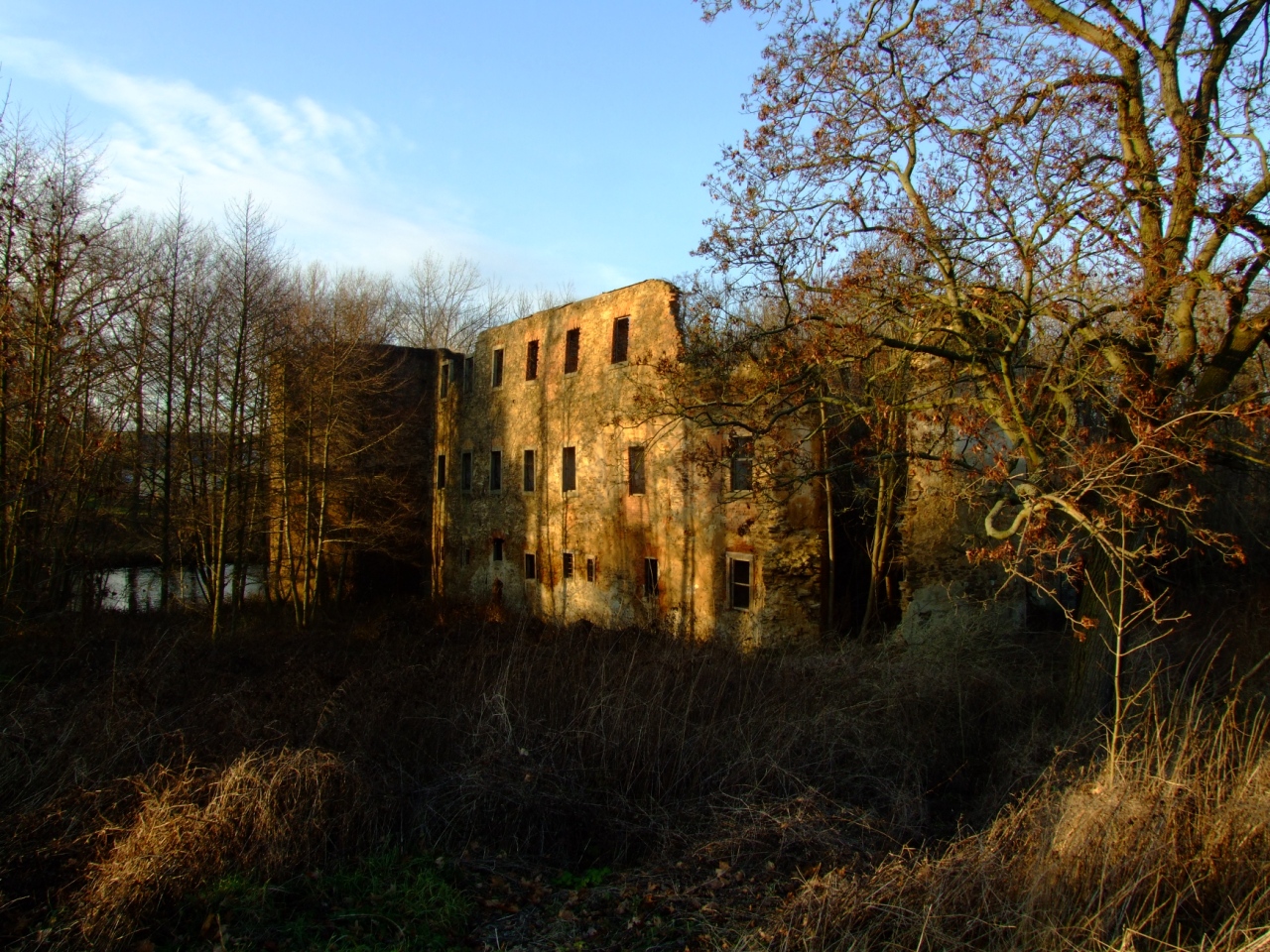Mechelgruen wasserschlossruine (5)